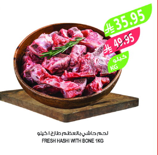 Camel meat available at Farm  in KSA, Saudi Arabia, Saudi - Sakaka