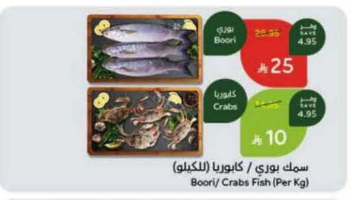 available at Hyper Panda in KSA, Saudi Arabia, Saudi - Tabuk