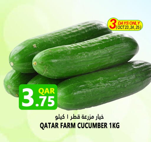 Cucumber from Qatar available at Food Palace Hypermarket in Qatar - Doha