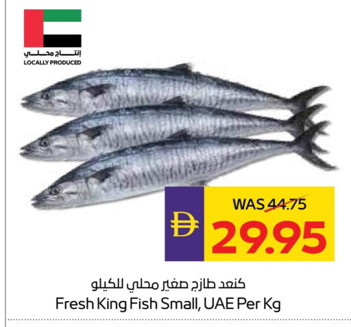 سمك ملكي available at أدكووب in الإمارات العربية المتحدة , الامارات - رَأْس ٱلْخَيْمَة