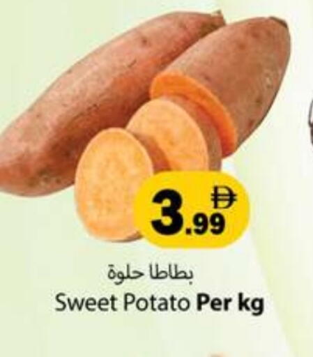 بطاطا حلوة available at جلف هايبرماركت ذ.م.م in الإمارات العربية المتحدة , الامارات - رَأْس ٱلْخَيْمَة