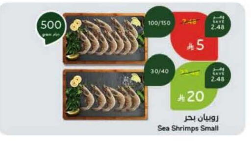 available at Hyper Panda in KSA, Saudi Arabia, Saudi - Tabuk