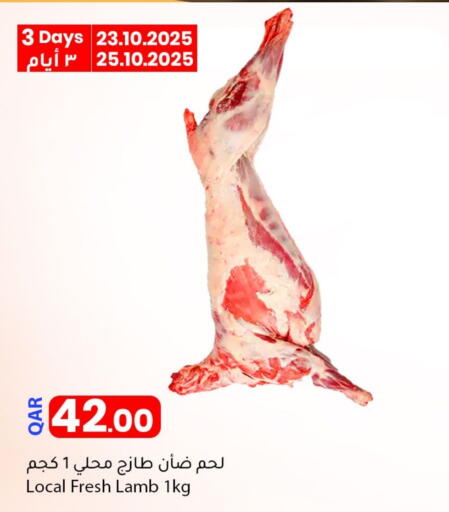 Meat - Fresh & Chilled in Dana Market, Qatar Offers - Qatar Mutton / Lamb available at Dana Market in Qatar - Al-Shahaniya