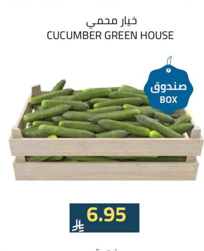 خيار available at أسواق أسترا in مملكة العربية السعودية, السعودية, سعودية - تبوك
