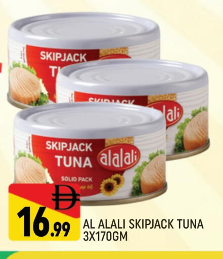 العلالي تونة - معلب available at المدينة in الإمارات العربية المتحدة , الامارات - دبي
