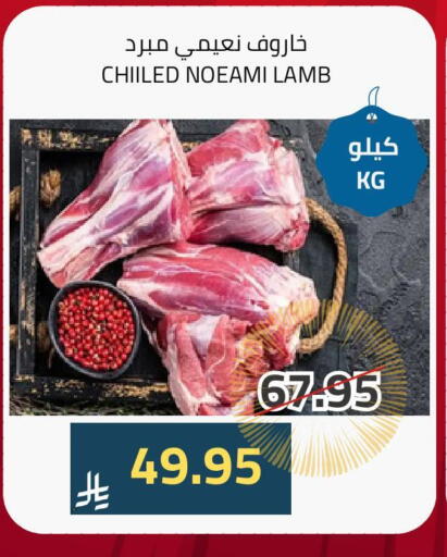 اللحوم الطازجة والمبردة in أسواق أسترا, المملكة العربية السعودية Offers - المملكة العربية السعودية لحم الضأن / الغنم available at أسواق أسترا in مملكة العربية السعودية, السعودية, سعودية - تبوك
