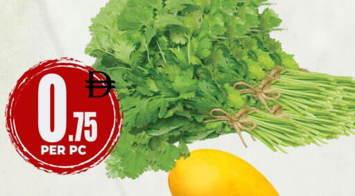 available at مركز الخصومات سنترو in الإمارات العربية المتحدة , الامارات - دبي