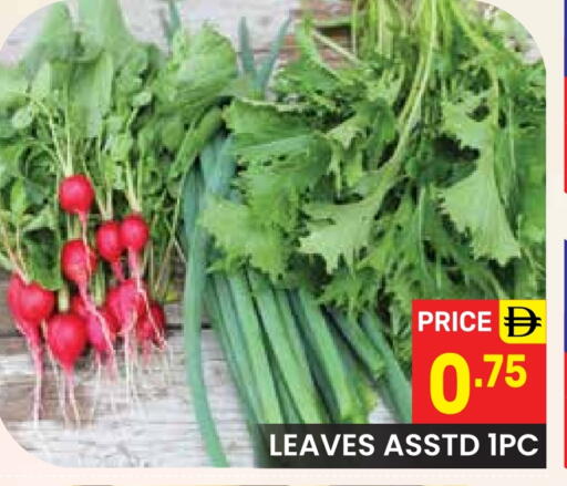 available at دريم نايت هايبرماركت in الإمارات العربية المتحدة , الامارات - دبي