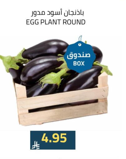 available at Astra Markets in KSA, Saudi Arabia, Saudi - Tabuk