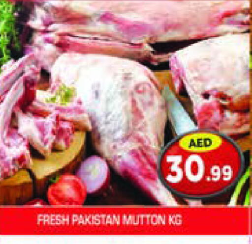 available at سنابل بني ياس in الإمارات العربية المتحدة , الامارات - رَأْس ٱلْخَيْمَة
