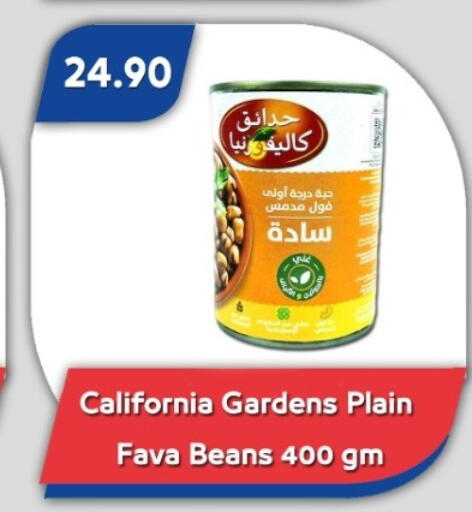 Fava Beans available at Bassem Market in Egypt - Cairo