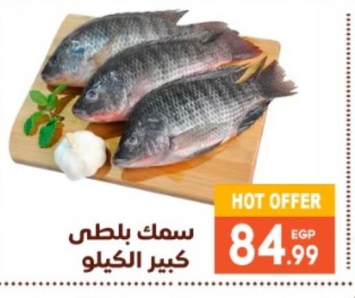 available at El mhallawy Sons in Egypt - Cairo