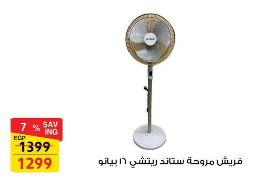 available at Fathalla Market  in Egypt - Cairo