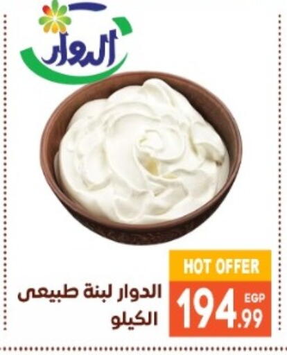 Labneh available at El mhallawy Sons in Egypt - Cairo