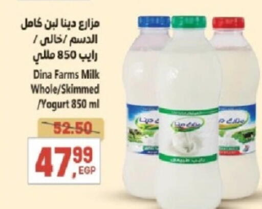 لبن available at سوبر ماركت الحسينى in Egypt - القاهرة