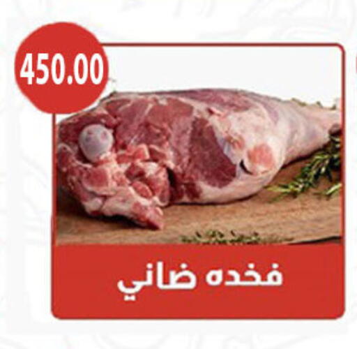 available at Hyper Samy Salama Sons in Egypt - Cairo