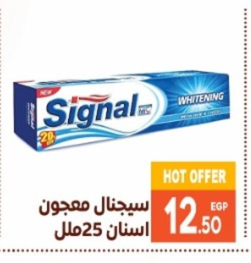 سيجنال معجون أسنان available at أولاد المحاوى in Egypt - القاهرة