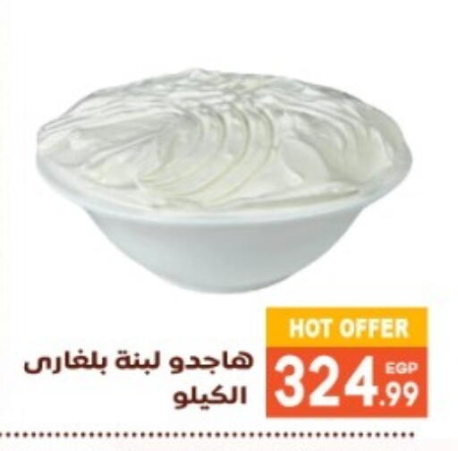 Labneh available at El mhallawy Sons in Egypt - Cairo