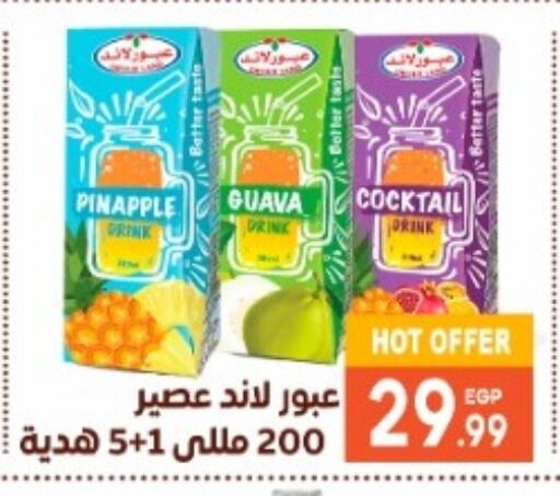 Guava available at El mhallawy Sons in Egypt - Cairo