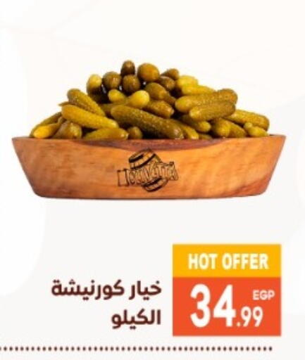 available at El mhallawy Sons in Egypt - Cairo