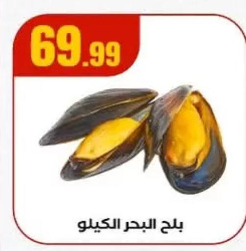 available at MartVille in Egypt - Cairo
