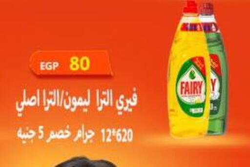 FAIRY available at Hyper Samy Salama Sons in Egypt - Cairo