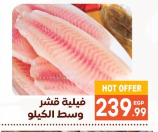 available at El mhallawy Sons in Egypt - Cairo