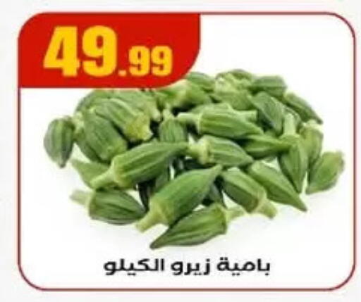 available at El Mahlawy Stores in Egypt - Cairo