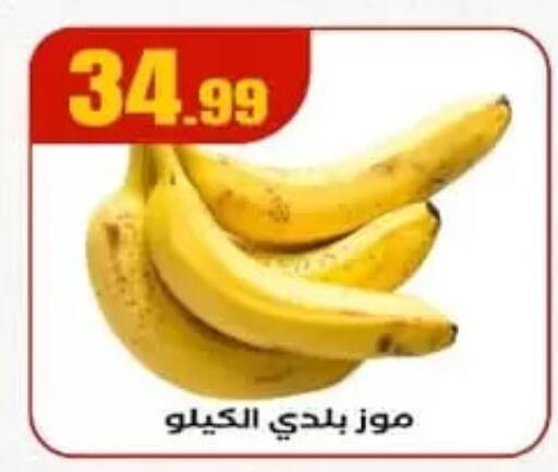 available at El Mahlawy Stores in Egypt - Cairo