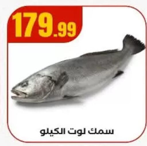 available at MartVille in Egypt - Cairo