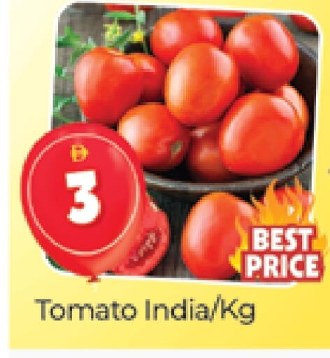 Tomato from India available at Al Madina  in UAE - Dubai