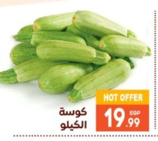 available at El mhallawy Sons in Egypt - Cairo