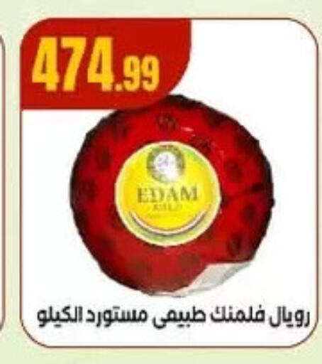 إيدام available at مارت فيل in Egypt - القاهرة