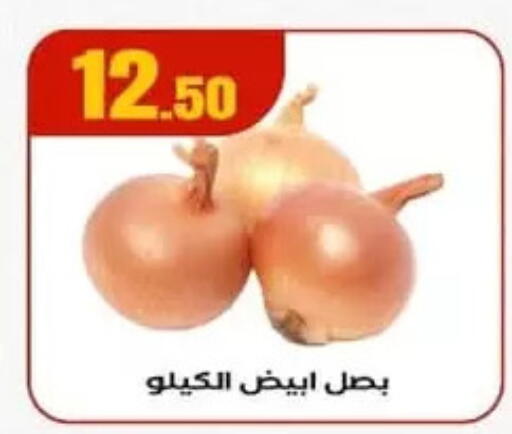 available at El Mahlawy Stores in Egypt - Cairo
