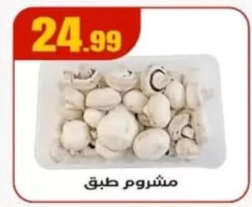 available at El Mahlawy Stores in Egypt - Cairo