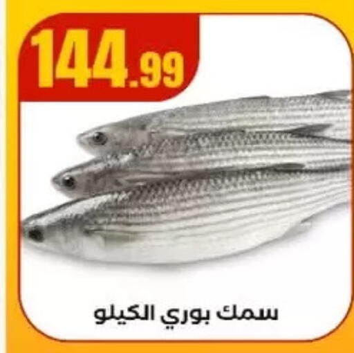 available at MartVille in Egypt - Cairo
