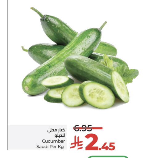 خيار from Saudi Arabia available at لولو هايبرماركت in مملكة العربية السعودية, السعودية, سعودية - تبوك