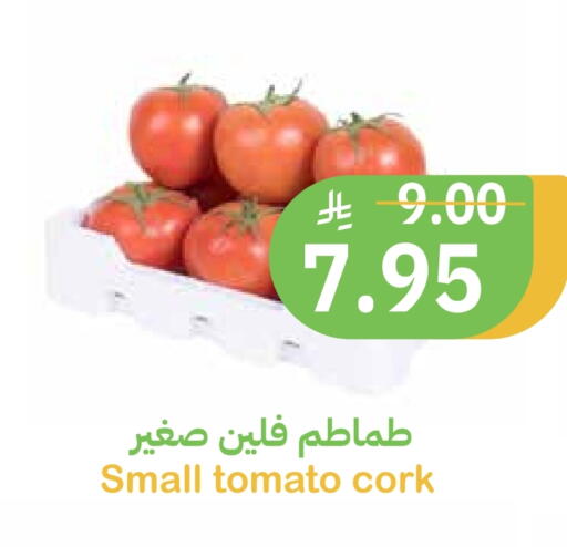 Tomato available at Qateba Markets in KSA, Saudi Arabia, Saudi - Buraidah