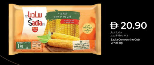 Frozen Fruits & Veg in Lulu Hypermarket, UAE Offers - United Arab Emirates SADIA available at Lulu Hypermarket in UAE - Dubai