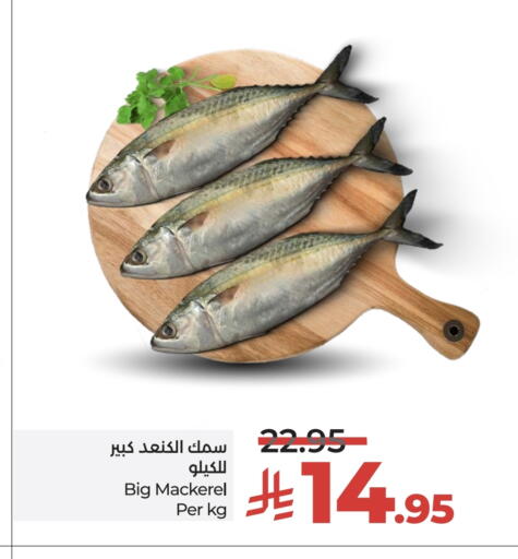 available at LULU Hypermarket in KSA, Saudi Arabia, Saudi - Tabuk