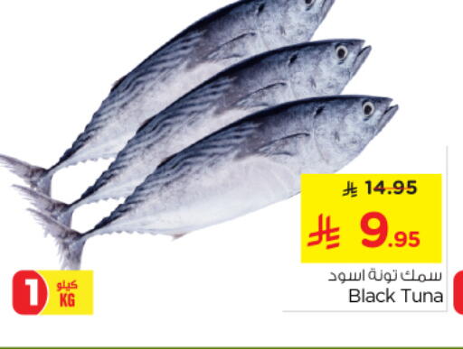 Tuna available at Nesto in KSA, Saudi Arabia, Saudi - Al-Kharj