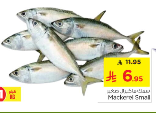 available at Nesto in KSA, Saudi Arabia, Saudi - Al-Kharj