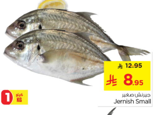 available at Nesto in KSA, Saudi Arabia, Saudi - Al-Kharj