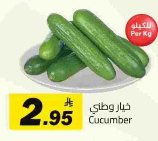 Cucumber available at مخازن هايبرماركت in مملكة العربية السعودية, السعودية, سعودية - تبوك