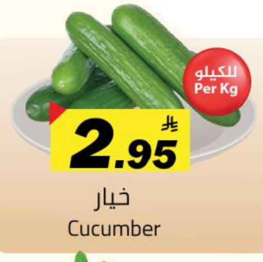 Cucumber available at مخازن هايبرماركت in مملكة العربية السعودية, السعودية, سعودية - تبوك