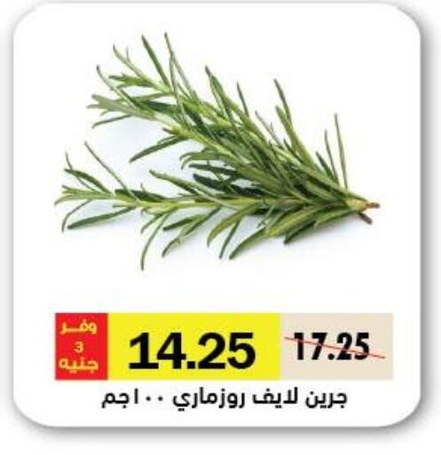 available at Royal House in Egypt - Cairo