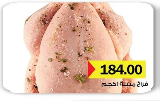 دجاج متبل available at رويال هاوس in Egypt - القاهرة