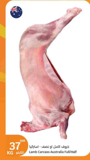 Meat - Fresh & Chilled in City Hypermarket, Qatar Offers - Qatar Mutton / Lamb available at City Hypermarket in Qatar - Al Shamal
