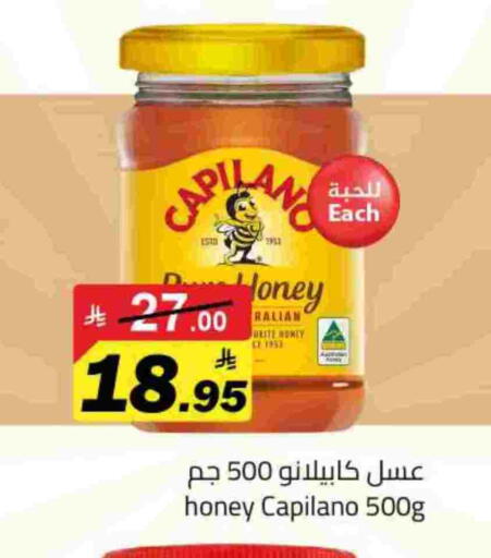Honey available at Hypermarket Stor in KSA, Saudi Arabia, Saudi - Tabuk