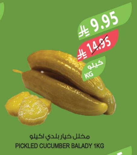 Cucumber available at المزرعة in مملكة العربية السعودية, السعودية, سعودية - الخبر‎